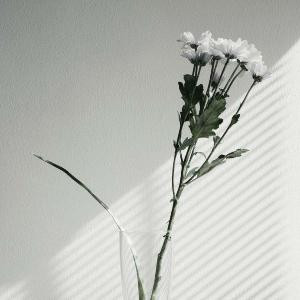 Hu扈