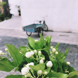 乖 摸摸头?