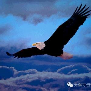 长发