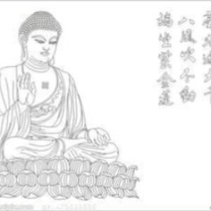 梧桐细雨