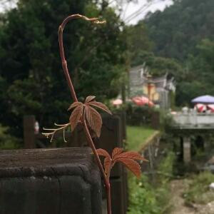 我就是我