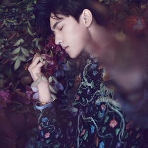 呵呵yi
