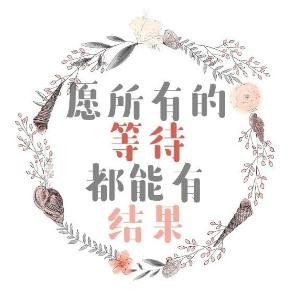 流璃月