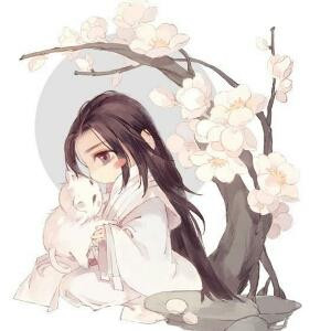 亦曦