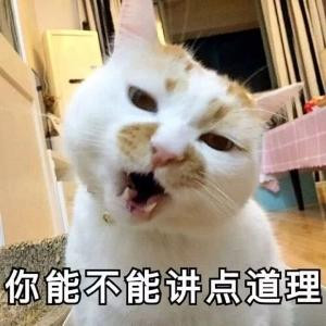 泱公子