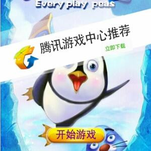 王泽鑫