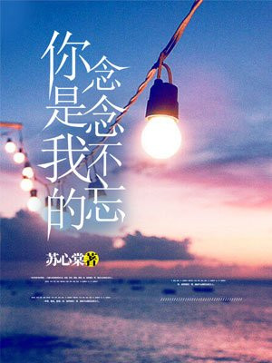 你是我的念念不忘-