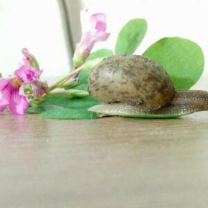 曾经年少不轻狂