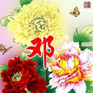 我爱掌阅