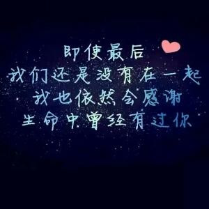 狗狗