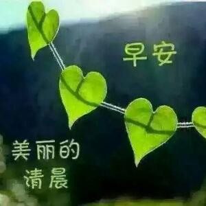美晨
