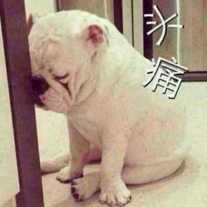 孤单夜影