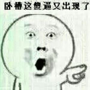 陌上的狗