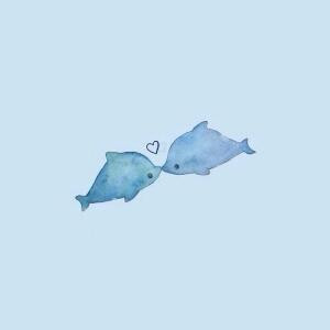 蘑菇