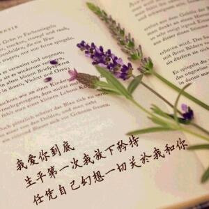小书迷