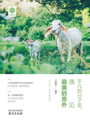 悦读时光4：平凡的日子里,遇见最美的意外