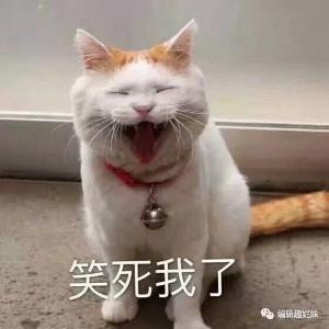 小辉