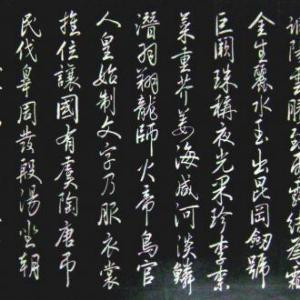 爱吃包菜的小灰