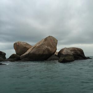 高皋gaogao