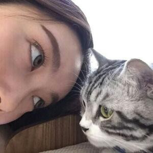 叶子的喵