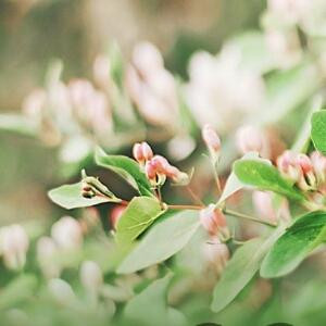 一个人加一个人