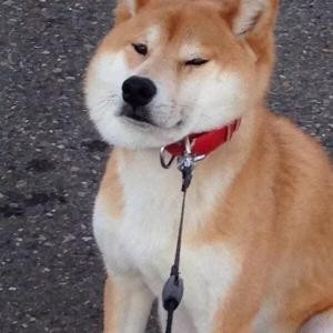 东皇