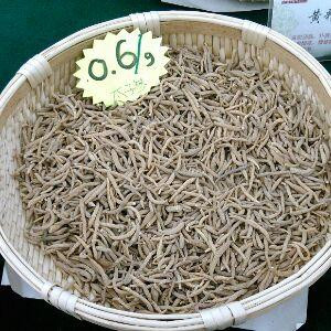 海洋