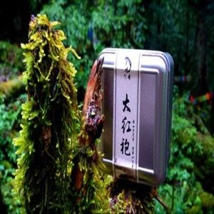 雯子