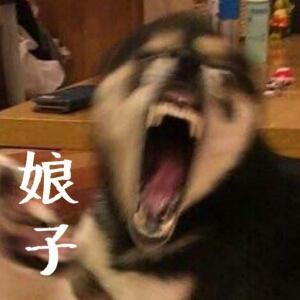 米渣