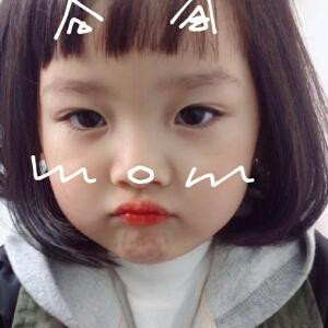 小灰灰