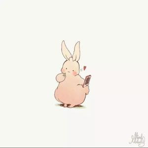 娑婆树影