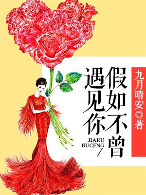 假如不曾遇见你