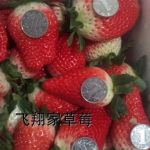霸者