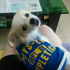 小卿爱看书