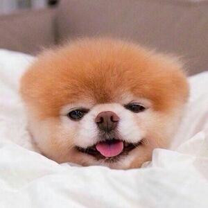 阳光天使