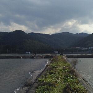 爱飞扬