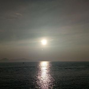 你是萝莉我是猪