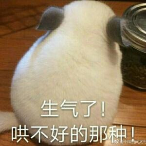 不嗣音