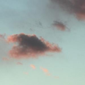 骑着毛驴捡金条