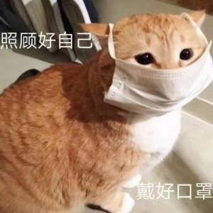 肖战吖