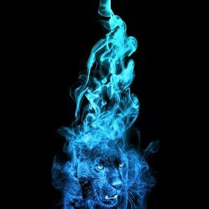 冷漠背后的温柔