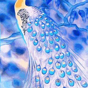 七色花