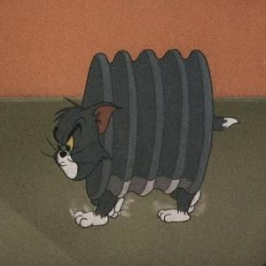 小傻杰的小星星