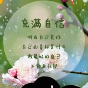 傲世神鹰