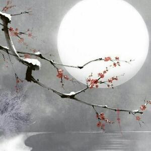 半风