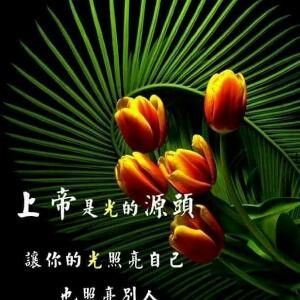 你是谁