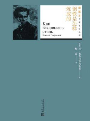 钢铁是怎样炼成的（插图本名著名译丛书）