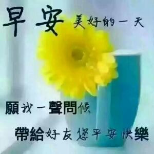 康康宝贝