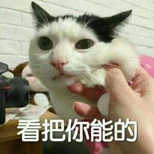 情，“为何物”