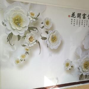 大坏蛋